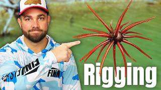 2 Things To Remember Before You FISH This Bait