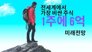 [힐링자] 전세계 가장 비싼 주식, 6억이 훨씬 넘는 미국주식