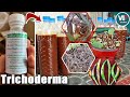 How to Use Trichoderma That You Never Know