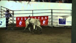 Bull breaks leg in a rodeo. HD (Raw Footage)