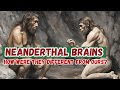 How were Neanderthal Brains Different from ours?