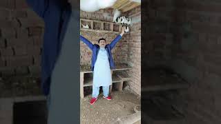Singer Mushtaq Cheena with Pigeons - Lakkay Kabootar - 2021 - Amazing Farm - Brigadier Ka Bagh