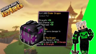 HOW TO GET ENDER DRAGON PET IN FAKEPIXEL SKYBLOCK | CRACKED MINECRAFT HYPIXEL SERVER POJAV LAUNCHER