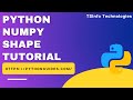 How to find the shape of a NumPy array in Python | Python NumPy shape