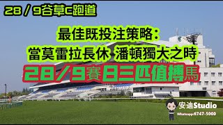 最佳既投注策略:當莫雷拉長休,潘頓獨大時.28/9賽日三匹值搏馬