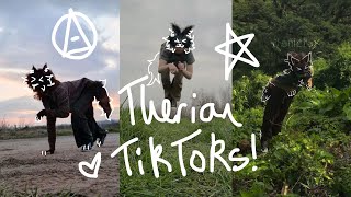 25 minutes of therian tiktoks! (compilation)