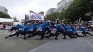 関学よさこい連 炎流 どまつり2013 ぐるめぱーく会場