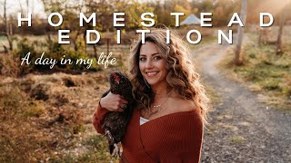 A Day In My Life As a Homesteader, Homeschooler, Entrepreneur