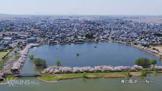 白鳥の渡来地　瓢湖の四季