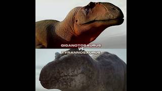 Giganotosaurus vs Tyrannosaurus