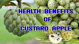 Best Benefits of custard apple in Telugu | సీతాఫలం తినడం వలన ఎన్నో  ప్రయోజనాలు || VIRAL ROCKET