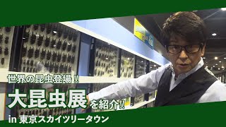 【 世界の昆虫登場‼︎ 】大昆虫展 in 東京スカイツリータウンを紹介‼︎