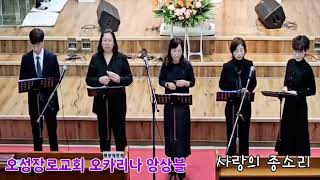 [사랑의 종소리] | [오성장로교회 오카리나 앙상블] | 송미아뮤직2025.01.19