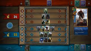 [DIY Gwent] Temeria NR vs Beast SK