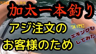 vol,4 【加太一本釣り】加太の鬼アジが大好きなお客様のために