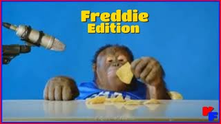 Orangutan ASMR - Freddie Edition