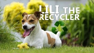 Lilli Recyklátorka (Lilli helps recycling)