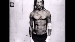 Iggy Pop - Louie Louie