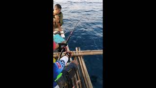 Threasher Shark on Jigging Tribu Kibyas Anglers Club