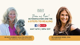 Unlocking Pet Health: Detoxification and the Six Steps to Healing