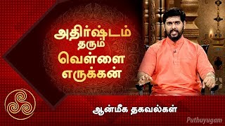 அதிர்ஷ்டத்தை அள்ளி தரும் வெள்ளை எருக்கன் வேர்! | ஆன்மீக தகவல்கள்