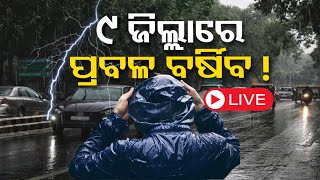 Odisha Rain News Live: ୯ ଜିଲ୍ଲାକୁ ବର୍ଷା ଆଲର୍ଟ ! Heavy Rainfall | Odisha Weather News | Odia News