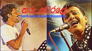 තරු වෙරළේ | Gayantha |Damith Asanka | tharu werale | music vedio