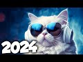 MÚSICA ELETRÔNICA 2024 ⚡️ ELETRÔNICAS 2024 MAIS TOCADAS ⚡️ Alok, Vintage Culture & David Guetta