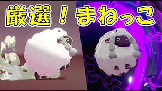 物理技もなんでも使いこなしちゃうウールー【ポケモン剣盾/ゆっくり実況】