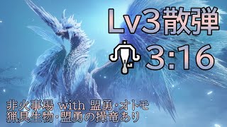 【MHR:SB/NS】イヴェルカーナ　ライトボウガン（Lv3散弾） 3分16秒　非火事場/Velkhana 3:16 LBG Spread Ammo 3【サンブレイク】