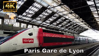 PARIS GARE de LYON》SNCF,Metro,RER A and D Station【4K】