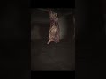 the new devour boss is insane devour devourgameplay horrorgaming scarygaming horror scary