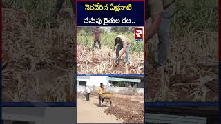 నెరవేరిన నిజామాబాద్ రైతుల కల | Nizamabad Turmeric Board | RTV