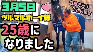 25歳になったG1馬ツルマルボーイ様に沢山のプレゼントが届いたようです。いつもは言えないツルマルボーイ様への本音も語ります。【ツルマルボーイ様のシモベ】