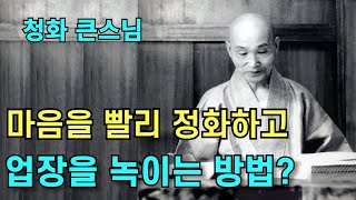 마음을 빨리 정화하고 업장을 녹이는 방법 | 부처님을 생각하는 염불공부를 끊임없이 해야 됩니다 | 청화스님 법문