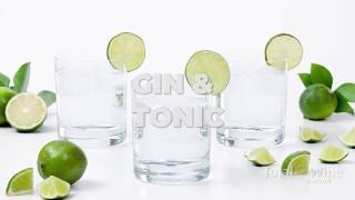 How to Make a Gin and Tonic Cocktail