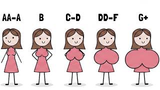 Every Hidden Evolutionary Advantage of Your Breast Size Explained