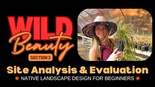 Wild Beauty Native Landscape Design For Beginners Section 2 Site Analysis Evaluation