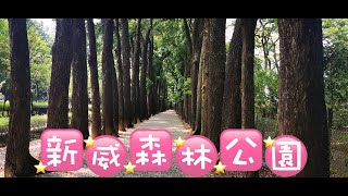 高雄快閃part 1六龜新威森林公園