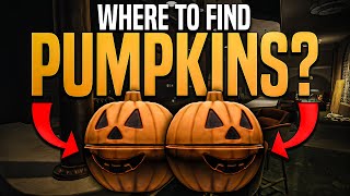 The BEST Pumpkin Farming Route in Tarkov