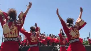 犬山踊芸祭2017日曜日メイン会場 名古屋学生チーム鯱