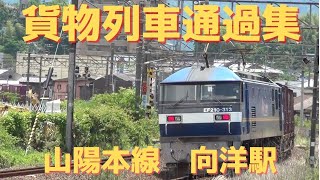 JR貨物　向洋駅を通過する貨物列車　2021年5月