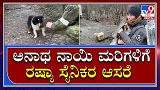 Russia Ukraine War: ಉಕ್ರೇನ್‌ನ ಅನಾಥ ನಾಯಿ ಮರಿಗಳಿಗೆ ಆಸರೆಯಾದ ರಷ್ಯಾ ಸೈನಿಕರು | Tv9 Kannada