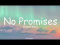 Shayne Ward - No Promises (Lyrics)