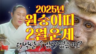 2025년 을사년 양력2월 원숭이띠운세 \