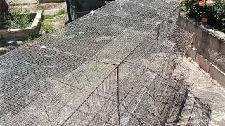 Cómo hacer una jaula para codornices