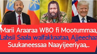 Mariin Araaraa Mootummaafi WBO Marsaa sadaffaa -Amerka, Labsii warra saala Jijjirratanii, Ajjeecha N