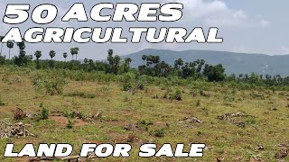 50 ACRE AGRICULTURAL LAND FOR SALE | 24200 SQYD LOWCOST PROPERTY | IN VEPADA AT BORRAVALASA VILLAGE