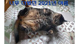 너무더웠던2021년여름