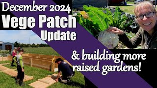 Vege Patch Update / Building raised gardens